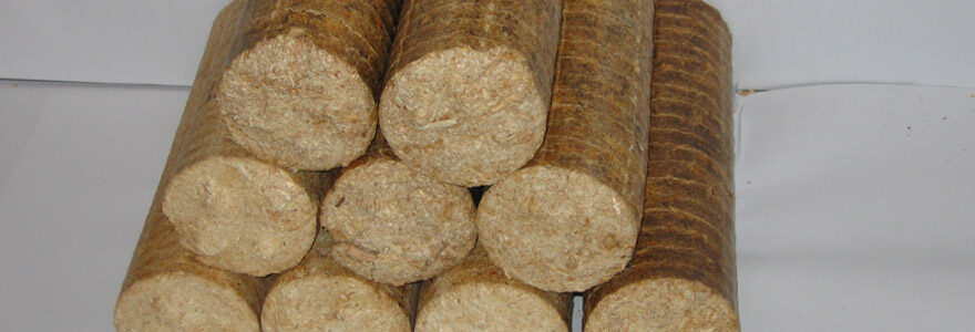 bûches de bois compressé